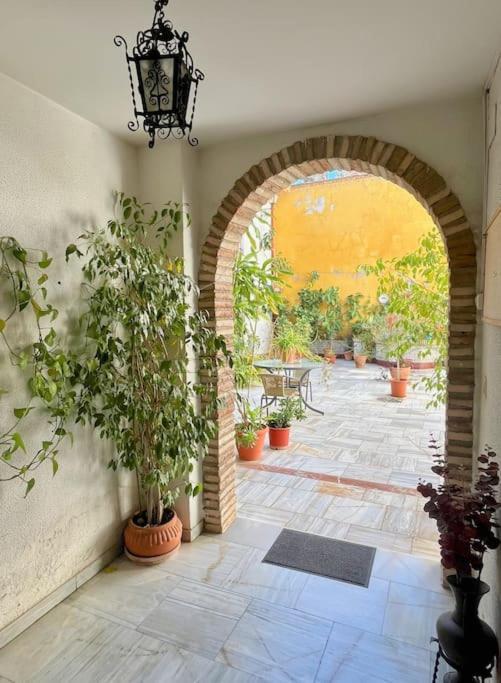 El Patio De Wallada Cordoba Exterior photo